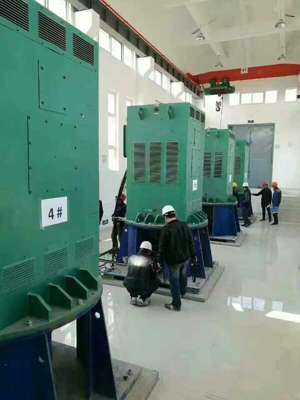 乌达某污水处理厂使用我厂的立式高压电机安装现场