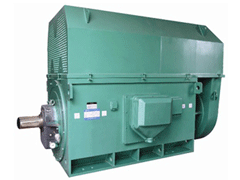 乌达Y系列6KV高压电机
